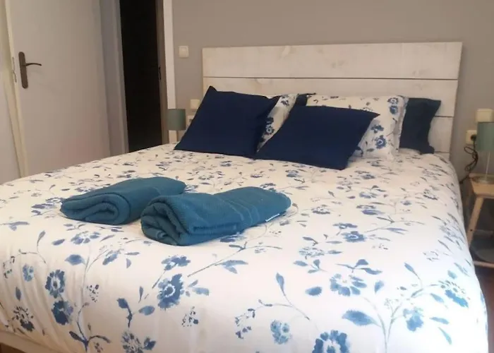 Confort 10 En Gros * San Sebastián