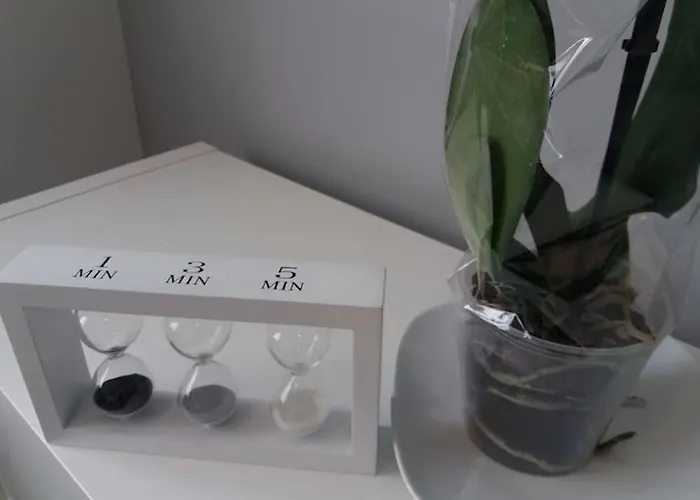 Confort 10 En Gros * San Sebastian